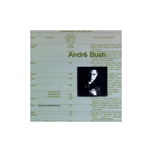 Andre Bush